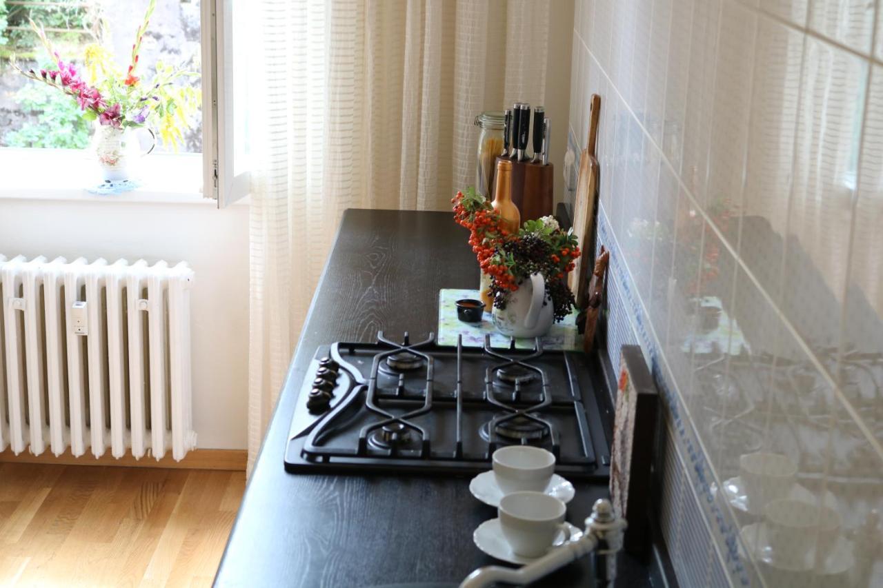 Retro Big Apartment With Two Balconies And Lift Karlovy Vary Dış mekan fotoğraf
